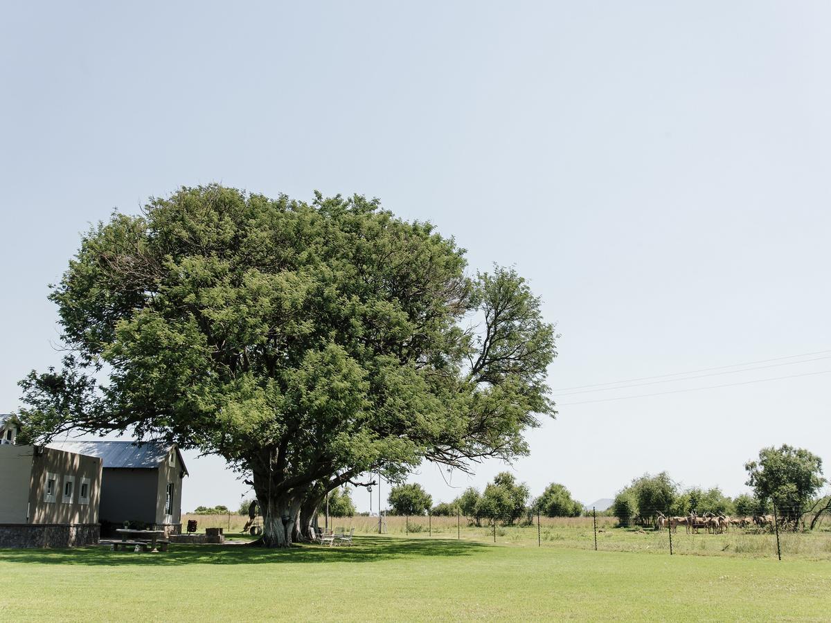 Buffalo Thorn Tree Lodge Swartruggens Exterior photo